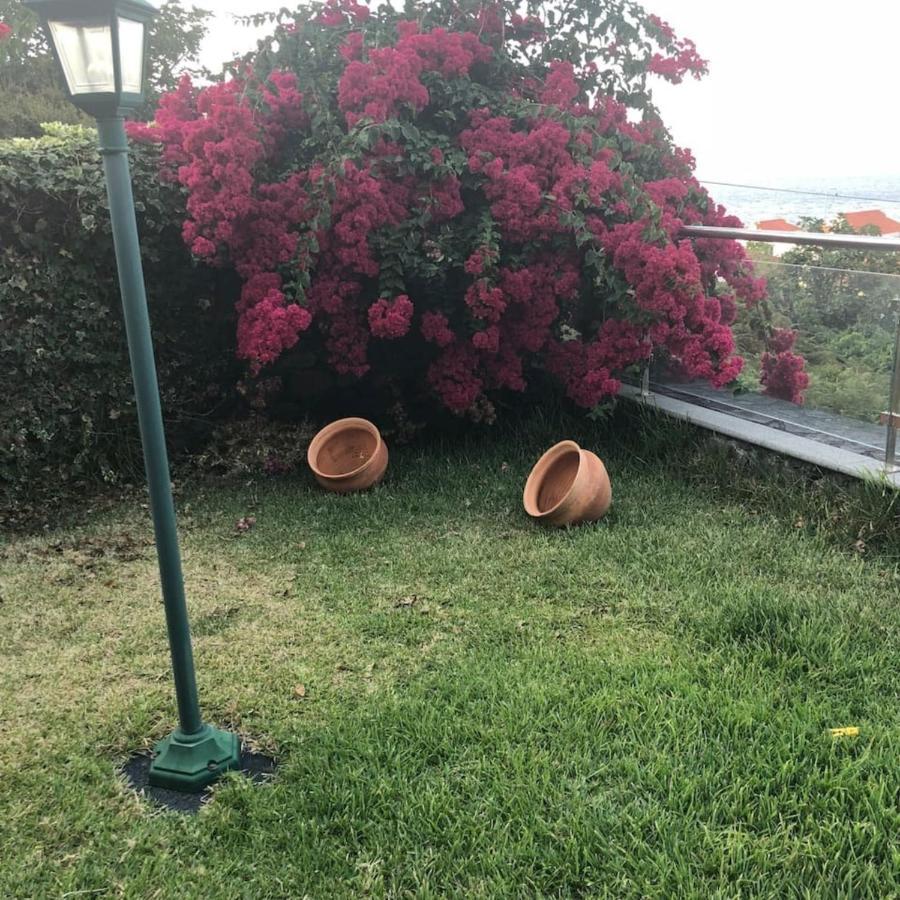 Lovely Sea View 3-Bed House In P Delgada Madeira Понта-Делґада Екстер'єр фото